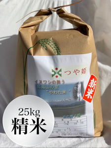 つや姫【特別栽培米】24.5kg 精米　送料込み