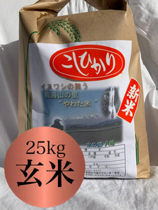 【新米予約9月中旬発送】こしひかり【一等米】25kg 玄米　送料込み