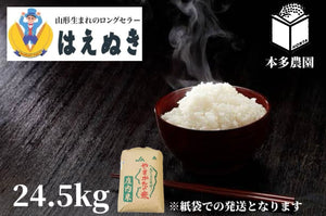 【定期便】はえぬき　24.5kg
