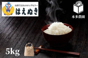 はえぬき　5kg 　送料込み