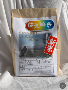 はえぬき　2kg 精米　送料込み