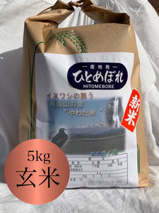 【新米予約9月中旬発送】ひとめぼれ【一等米】5kg 玄米　送料込み